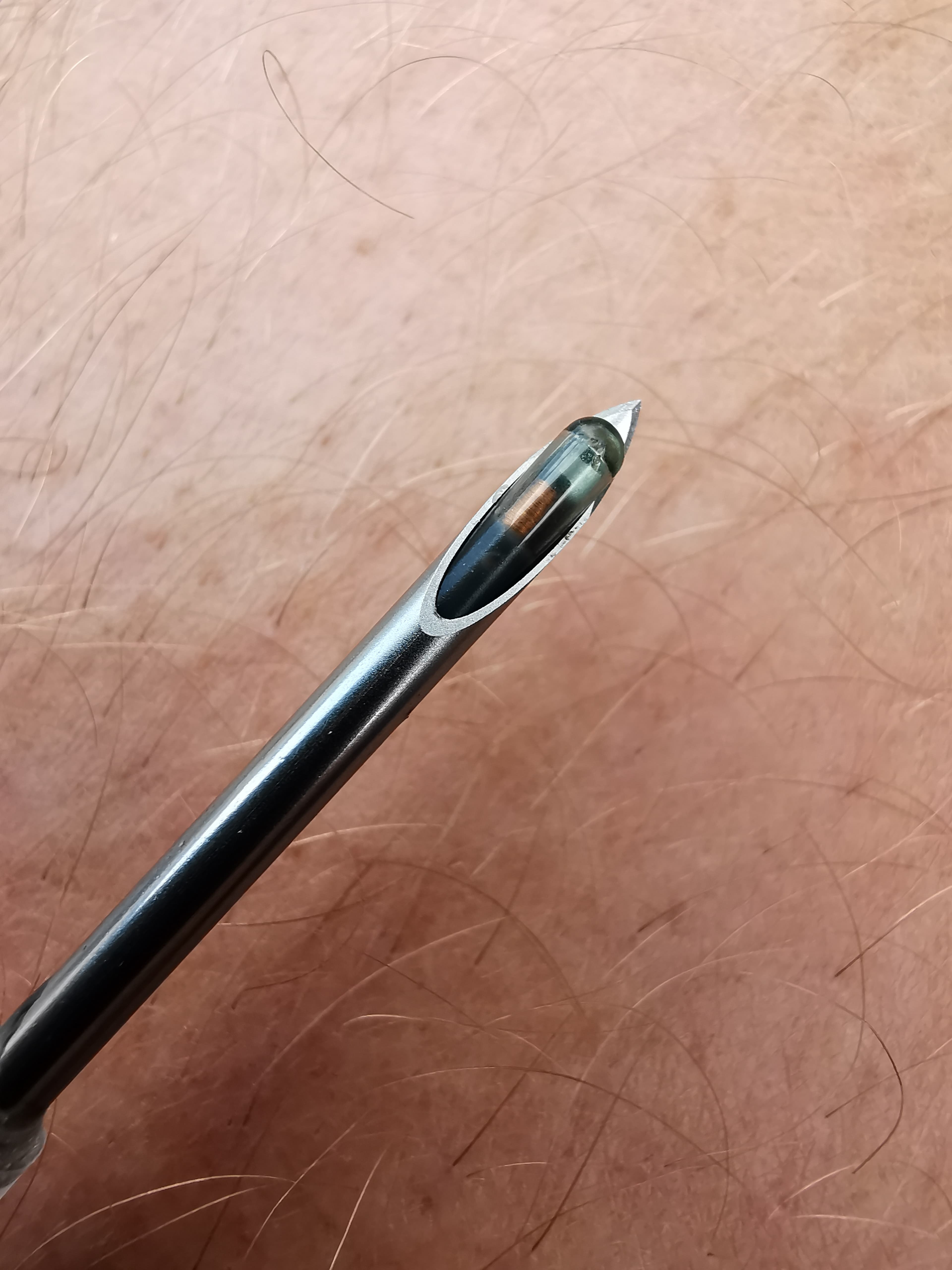 Microchip FDX-B dentro de aguja de implantación para ganado